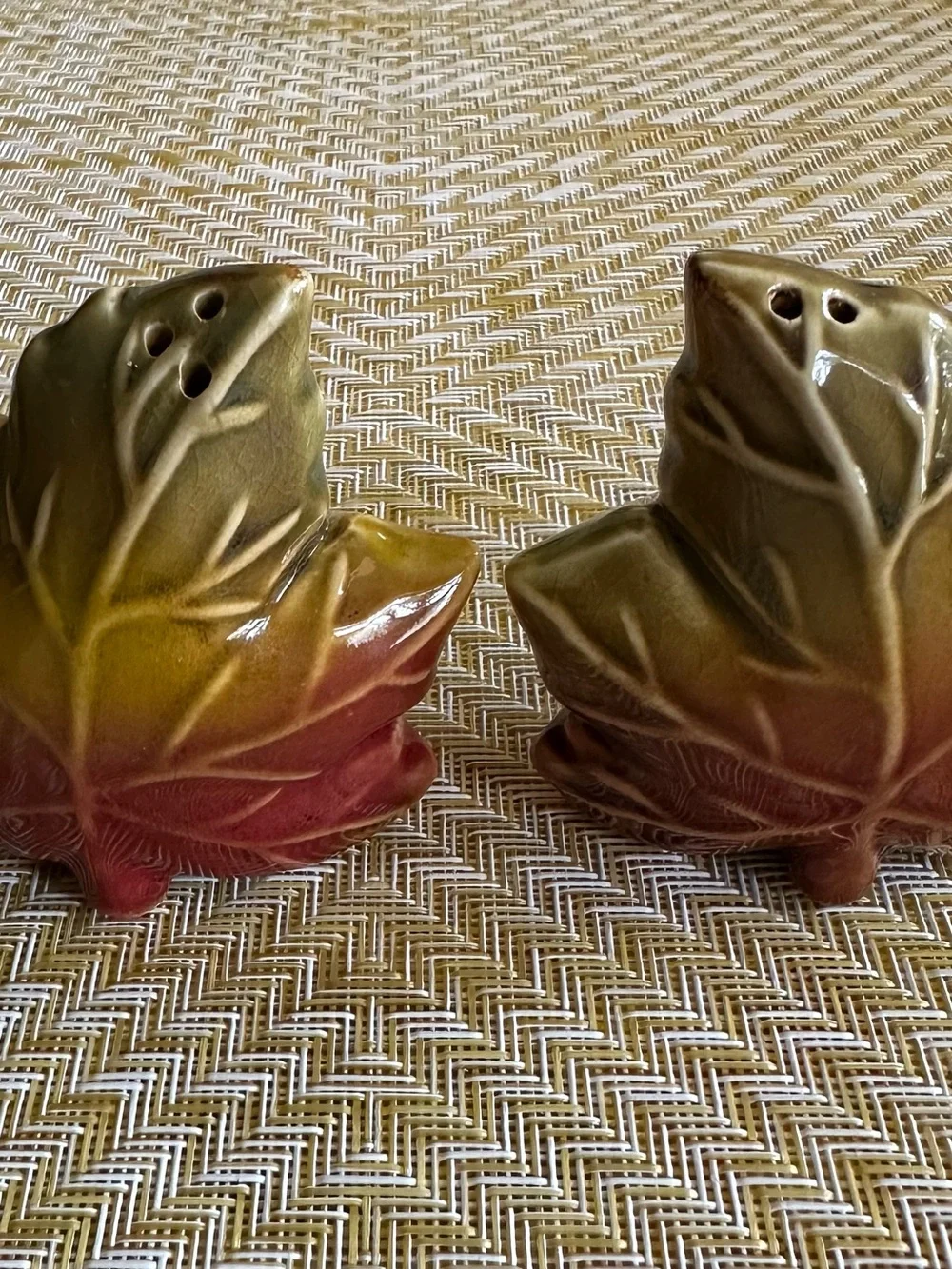 Autumn Leaf Ceramic Salt and Pepper Shakers - Multi colored perfect for Fall